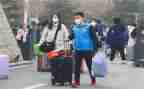 离校申请书的模板优秀8篇