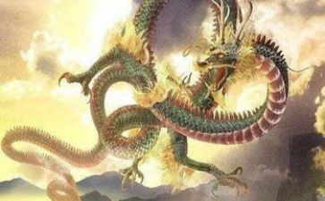龙的读后感7篇