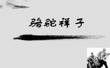 骆驼祥子心得体会850精选8篇