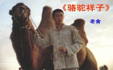 骆驼祥子七的读后感模板5篇