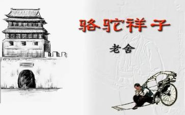 骆驼祥子读后感800字6篇