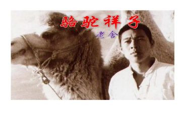 《骆驼祥子》读后感800字模板8篇