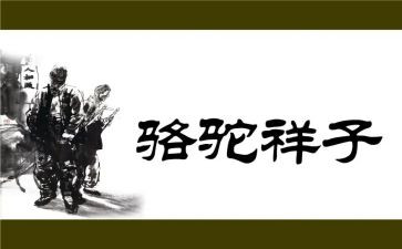 骆驼祥子读后感500字最新7篇
