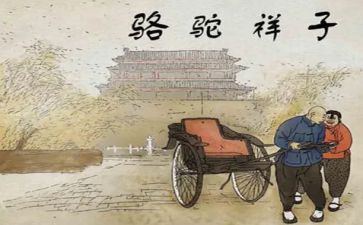 骆驼祥子读后感600字最新8篇