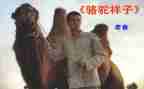 骆驼祥子七的读后感模板5篇