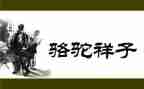 骆驼祥子读后感500字最新7篇