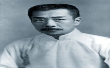 坟鲁迅读后感模板8篇