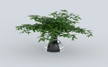 《绿》读后感1000字通用5篇