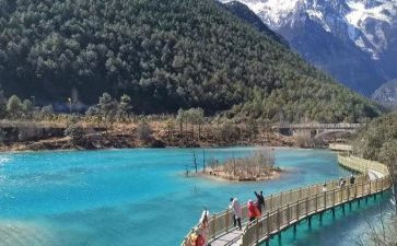 旅游消调查报告7篇