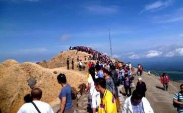 旅游科自查报告6篇