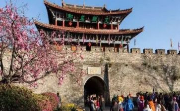 旅游业工作报告7篇