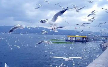 旅游心得体会感想800精选6篇