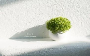 慢个人自查报告最新5篇