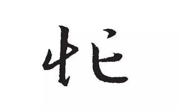 老舍忙读后感8篇