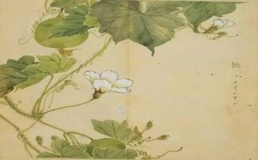 关于氓的读后感优秀7篇