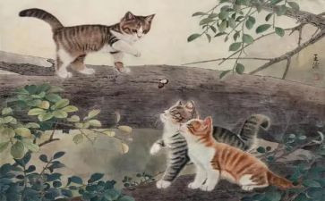 猫读后感600字7篇