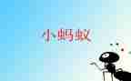 我是一只小蚂蚁作文500字5篇