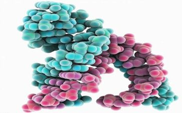 生物酶调查报告7篇