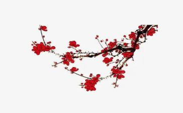 梅花瑰读后感8篇
