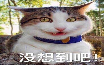 真没想到的作文400字5篇