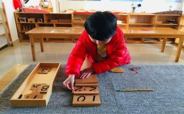 蒙氏幼儿园教案推荐8篇