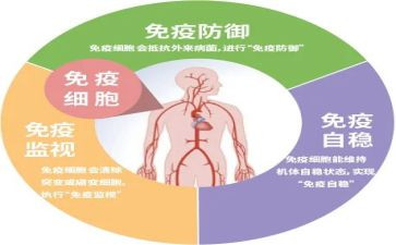 检验科免疫组自我鉴定7篇