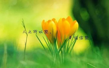 名人传的读后感400字精选6篇