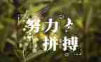 读名人演讲稿,写演讲稿8篇