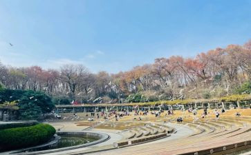 游览过的风景名胜作文7篇