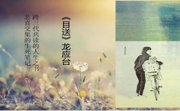 目送书读后感6篇
