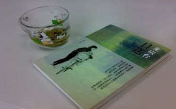 目送龙应台读后感5篇