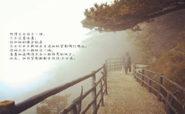《目送》龙应台读后感5篇