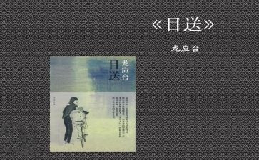 目送2023读后感8篇