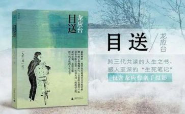 巜目送》读后感7篇