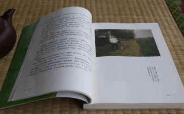 目送2023读后感精选8篇
