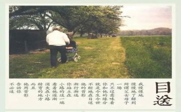 目送400读后感6篇