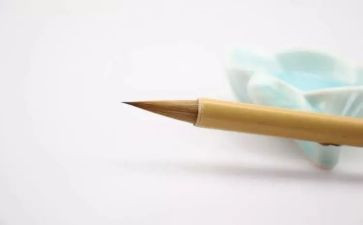 我忘不了那句话作文5篇