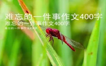 写难忘的一件事的作文优质7篇