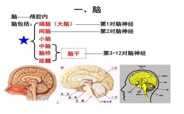电脑销售实习报告最新5篇