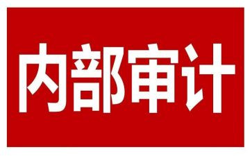 内审计员述职报告范文7篇