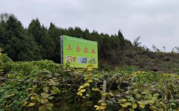 农产品采购合同6篇