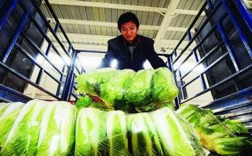 镇农产品调研报告8篇