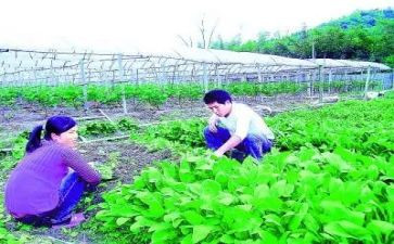 农技人员培训总结5篇