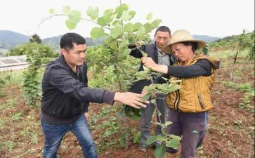 农科员述职报告范文6篇