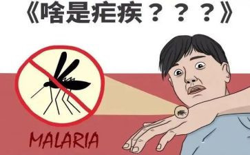 疟疾防治工作计划6篇