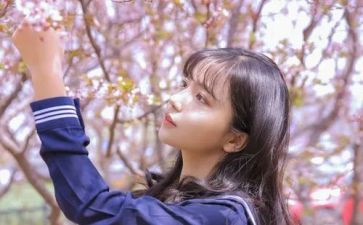 青协女生节活动方案策划8篇