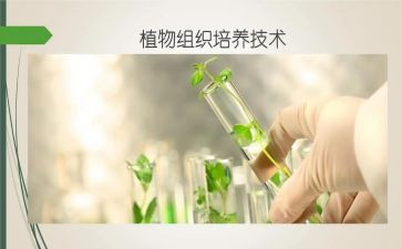 培养幼儿的心得体会5篇