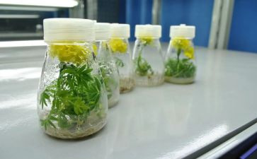 培养优秀生工作总结6篇