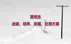 培养孩子读书的心得5篇