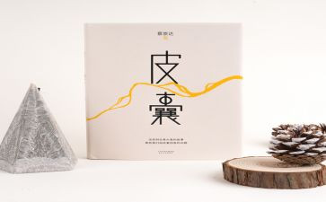 皮囊2023读后感优质8篇